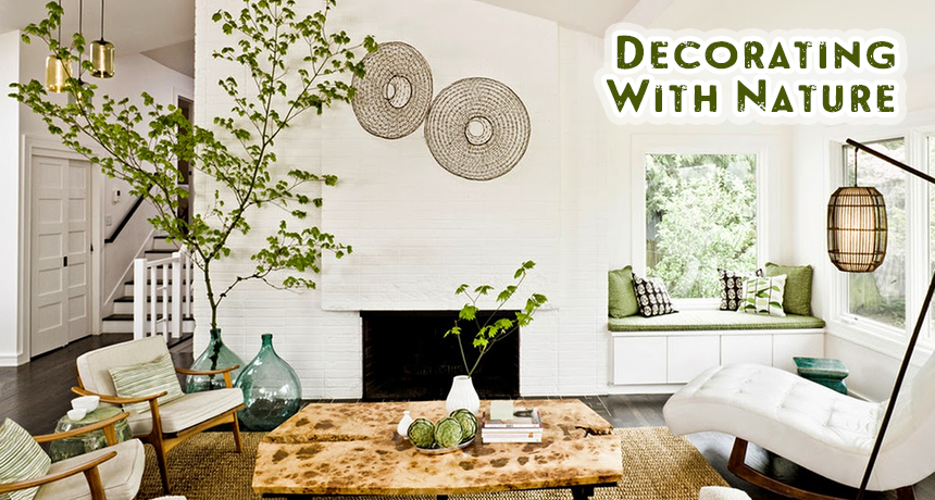 Home Decor Tips